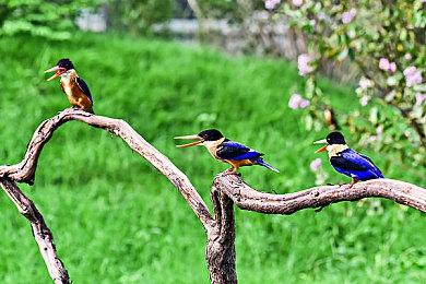 《黑道圣徒：重启版》全新截图 荒漠鏖战、画面逼真